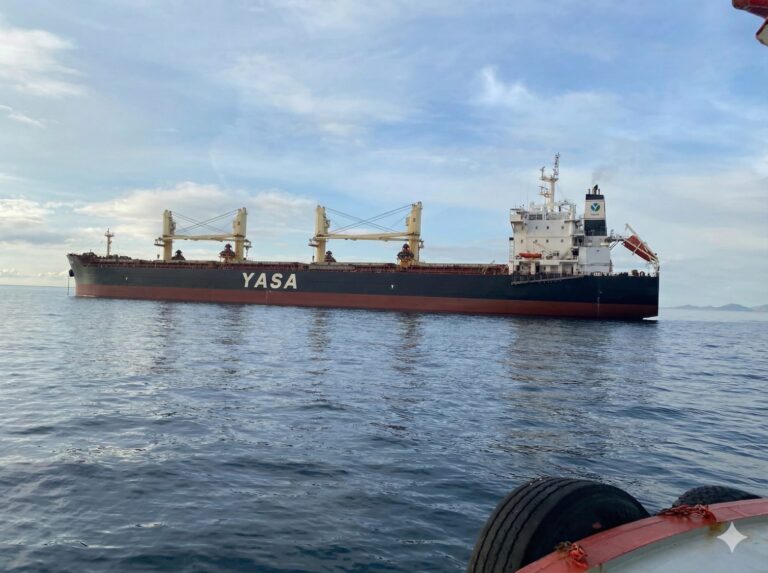YASA SPARROW